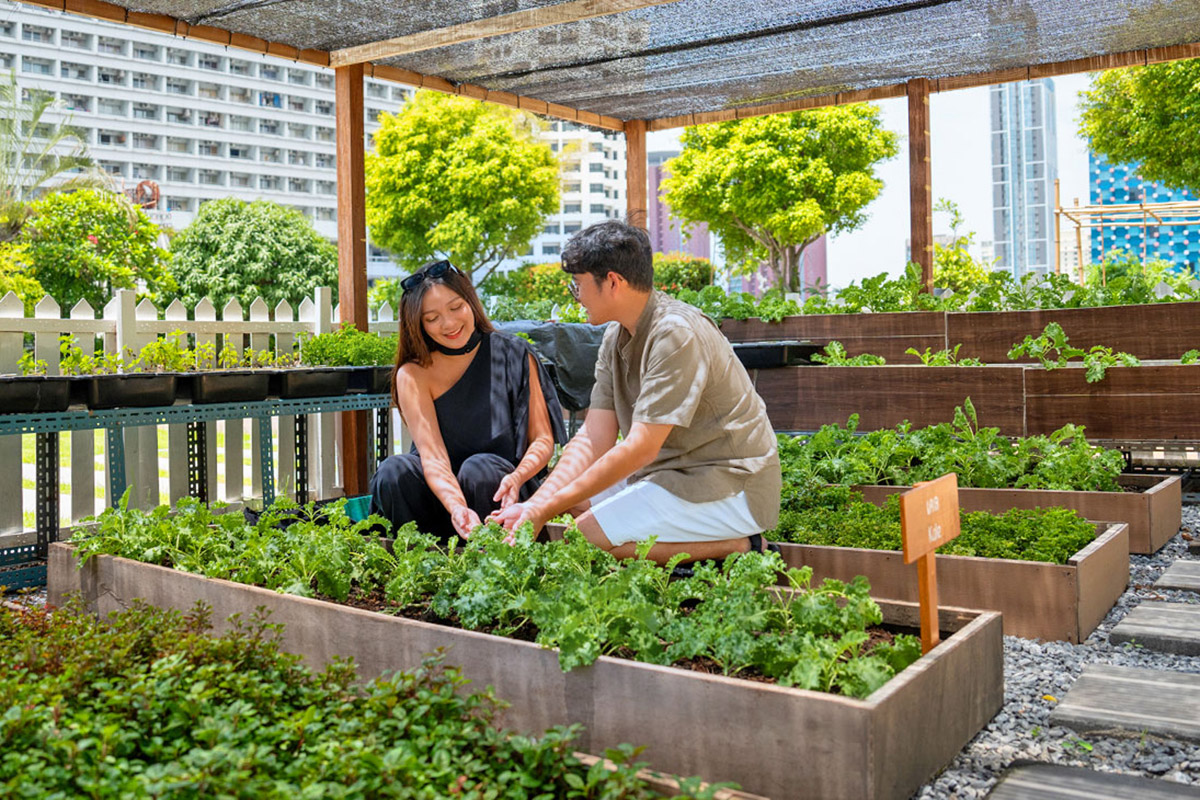 Steps Towards a Greener Future - アマリ バンコク